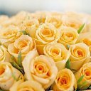���� �����, ��� - ��������� 24 ����� 2013 � ������ ���� ����������
