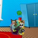 ���� Koldiv, ��������� - ��������� 17 �������� 2010 � ������ ���� ��������