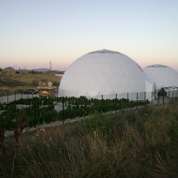 ���� Vic, ������ ���, 38 ��� - ��������� 14 ���� 2012