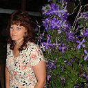 ���� �������, ��������� - ��������� 20 ����� 2012 � ������ ���� ����������