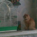  , , 42  -  10  2011   PetLove