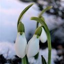  , --, 57  -  18  2013    