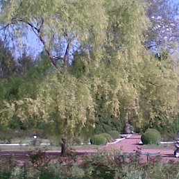 ���� Koldiv, ��������� - ��������� 10 ������ 2009