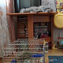 ������� ��������=) �� ������� �������