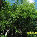���� Vitaliy, ����, 53 ���� - ��������� 26 ��� 2013 � ������ ���� ����������