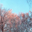 ���� ����, ������, 49 ��� - ��������� 24 ������� 2011 � ������ ������ �������