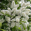  , -, 47  -  26  2012