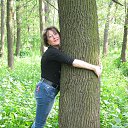  *;*;*;*  *;*;*;*,  -  13  2013    