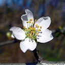 ���� ������, ����������� - ��������� 20 ������ 2010 � ������ ����