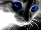 ���� 93, ����, 46 ��� - ��������� 9 ���� 2012 � ������ �������