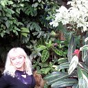 ���� �����, �����������, 68 ��� - ��������� 15 ������� 2012 � ������ ���� ����������