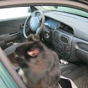 ���� ���, �����-���������, 62 ���� - ��������� 11 ������� 2011 � ������ �������