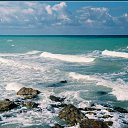 ���� ����� (�������� ������� ����), ������, 48 ��� - ��������� 25 �������� 2011 � ������ �����