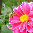 ���� ����� - ���������� ��������!!!, �����������, 56 ��� - ��������� 11 ������ 2010 � ������ ����������