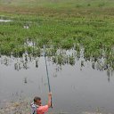  , -, 63  -  20  2009   