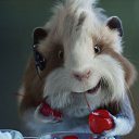 ���� �������, �����������, 61 ��� - ��������� 31 ������� 2010 � ������ �������