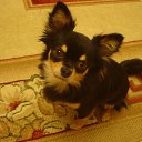 ���� �������@�, ������-��-����, 27 ��� - ��������� 14 ������� 2013 � ������ ���� ����������