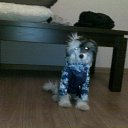 ���� Yushka Ya, �����-��������� - ��������� 12 ������ 2013 � ������ ���� �������)�