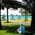 Alim Mustapaliev, , 38 