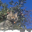 ���� ������, �������, 22 ���� - ��������� 17 ���� 2012 � ������ ���� ����������