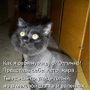 ���� �����, ������, 29 ��� - ��������� 4 ������ 2010 � ������ �������