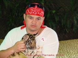 �������, �����, 51 ���