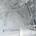 ���� �������, �����-���������, 40 ��� - ��������� 8 ������� 2012 � ������ �������