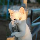 ���� �����, ������ - ��������� 25 �������� 2011 � ������ �����������