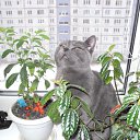 ������ �� ������� �������