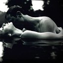 ���� ����, ����������, 49 ��� - ��������� 8 ���� 2013 � ������ ���� ����������