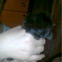  E.lena, , 62  -  15  2011     ...