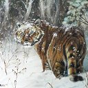 ���� ���������, ����������, 51 ��� - ��������� 5 ������� 2013 � ������ ���� ����������