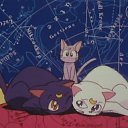 ���� �����, ������������, 24 ���� - ��������� 19 ������ 2010 � ������ ���� ���������