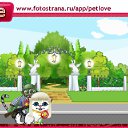 ���� Sirin, ���, 30 ��� - ��������� 4 ��� 2011 � ������ �PetLove�