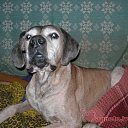 ���� ��� ����, ����, 67 ��� - ��������� 20 ��� 2011 � ������ �������