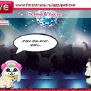   (),  -  13  2010   PetLove