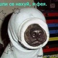 ���� ����, ���������, 58 ��� - ��������� 31 ������� 2011 � ������ �������