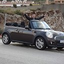 ���� ����, �����-��������� - ��������� 12 ��� 2012 � ������ ��������.2012�