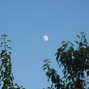  !,  -  26  2010     -    