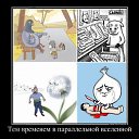 ���� ������, �����-���������, 34 ���� - ��������� 25 ��� 2012 � ������ �������