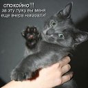 ���� �����, ������������ - ��������� 17 ���� 2010 � ������ ��������