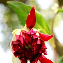 ���� ����� - ���������� ��������!!!, �����������, 56 ��� - ��������� 11 ������ 2010 � ������ ����������