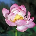 ���� ����. ��������� �� ��!, ������, 72 ���� - ��������� 30 ������ 2011 � ������ ����� � �����