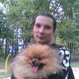 ����, ������, 44 ����