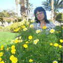 ���� ����, ������ - ��������� 3 ����� 2012 � ������ ������һ