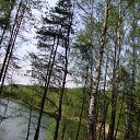 ���� �����, ������, 51 ��� - ��������� 20 ������� 2010 � ������ ������ � ��� ����������