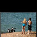 ���� Alex, �������, 48 ��� - ��������� 20 �������� 2011 � ������ �������