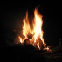 ���� ����, ���������, 43 ���� - ��������� 8 ���� 2012 � ������ �������