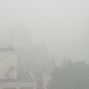 ���� ����, �������� - ��������� 4 ������� 2010 � ������ �����. ���� 2010. (04.08.2010)�