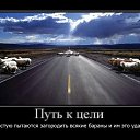  Lika,  -  12  2010   